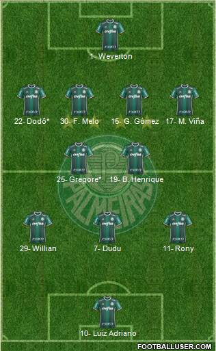 SE Palmeiras Formation 2020
