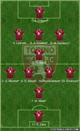 Torino Formation 2020