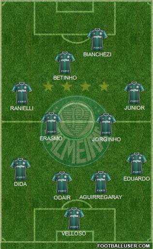 SE Palmeiras Formation 2020