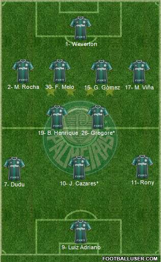 SE Palmeiras Formation 2020