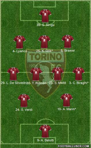 Torino Formation 2020