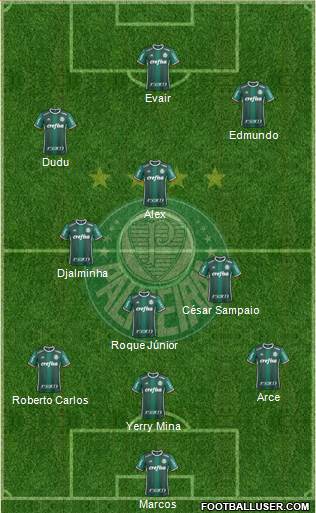 SE Palmeiras Formation 2020