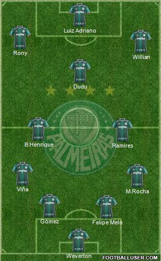 SE Palmeiras Formation 2020
