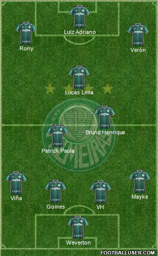 SE Palmeiras Formation 2020