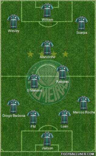SE Palmeiras Formation 2020