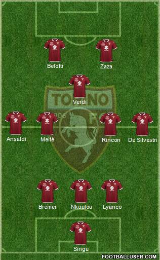 Torino Formation 2020
