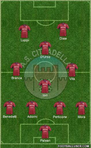 Cittadella Formation 2020