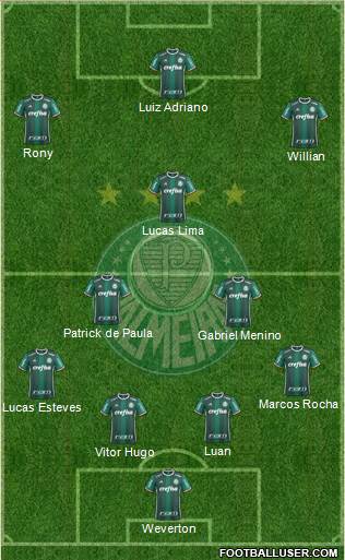 SE Palmeiras Formation 2020