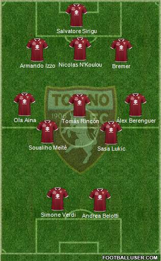 Torino Formation 2020