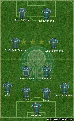 SE Palmeiras Formation 2020