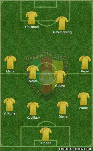 Cameroon Formation 2020