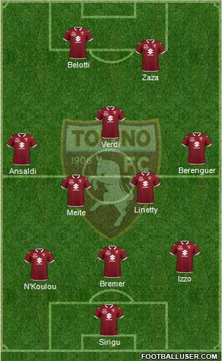 Torino Formation 2020