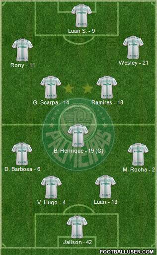 SE Palmeiras Formation 2020