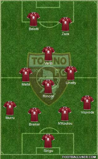 Torino Formation 2020