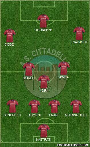 Cittadella Formation 2020