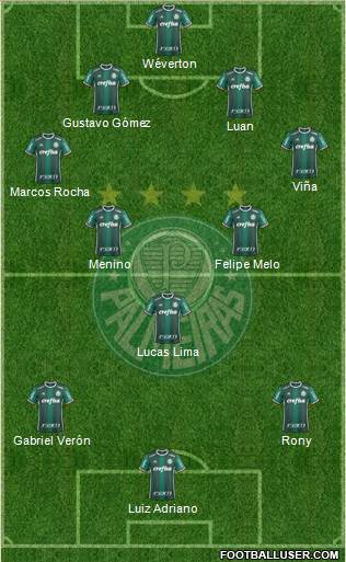SE Palmeiras Formation 2020