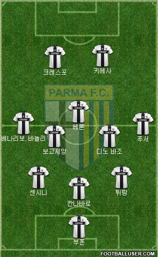 Parma Formation 2020