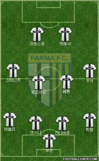 Parma Formation 2020