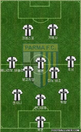 Parma Formation 2020