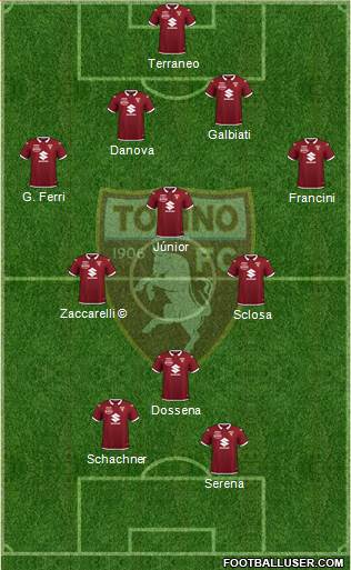 Torino Formation 2020