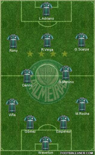 SE Palmeiras Formation 2021