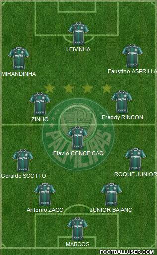 SE Palmeiras Formation 2021
