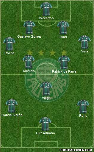 SE Palmeiras Formation 2021
