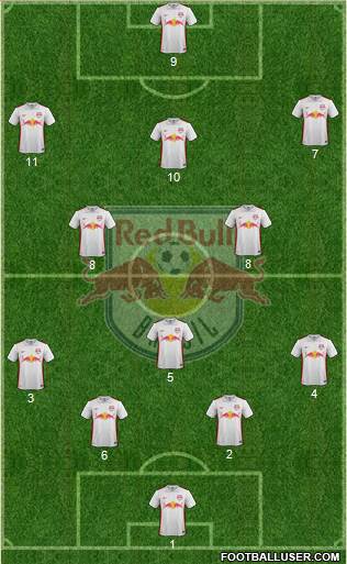 Red Bull FE Ltda Formation 2021