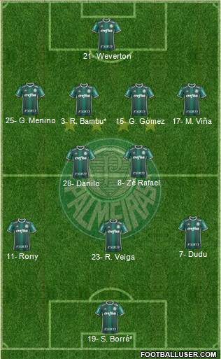 SE Palmeiras Formation 2021
