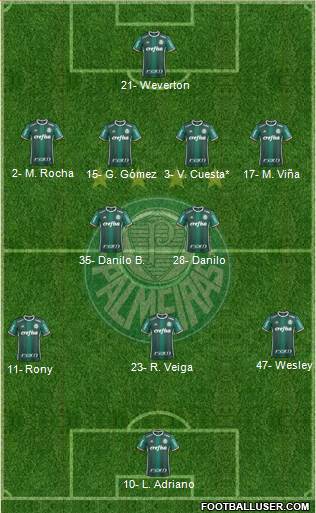 SE Palmeiras Formation 2021