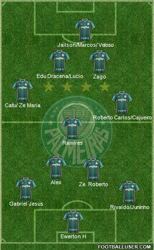 SE Palmeiras Formation 2021