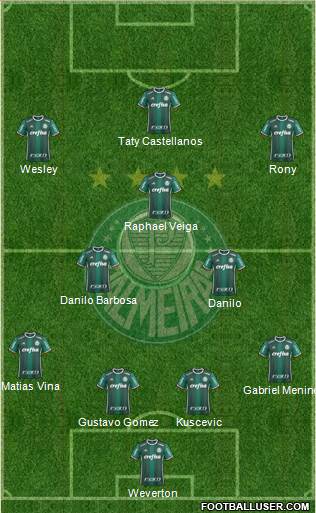SE Palmeiras Formation 2021