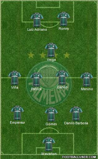 SE Palmeiras Formation 2021