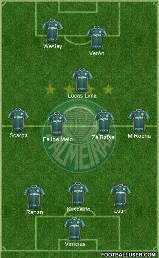 SE Palmeiras Formation 2021