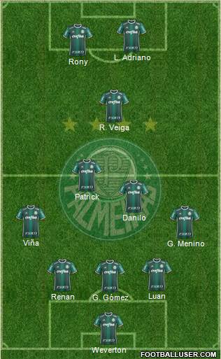 SE Palmeiras Formation 2021
