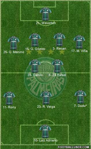 SE Palmeiras Formation 2021