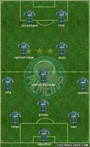 SE Palmeiras Formation 2021