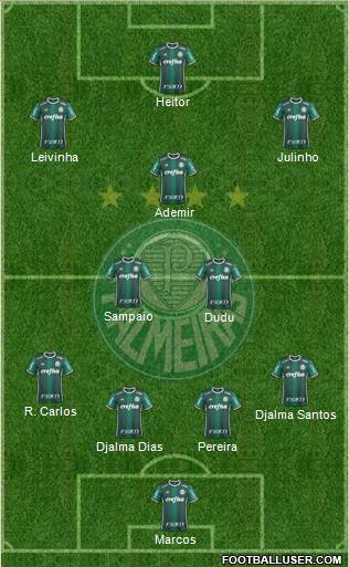 SE Palmeiras Formation 2021