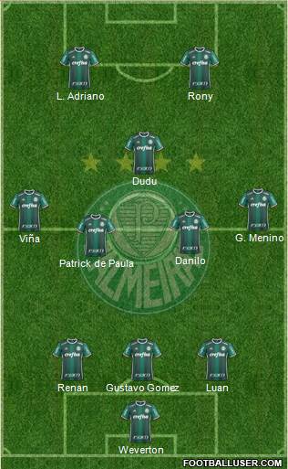 SE Palmeiras Formation 2021