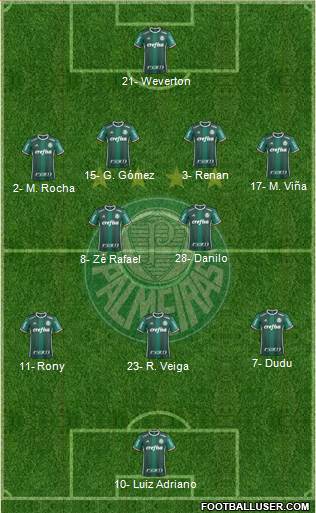 SE Palmeiras Formation 2021