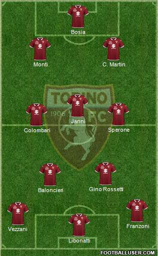Torino Formation 2021