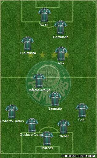 SE Palmeiras Formation 2021