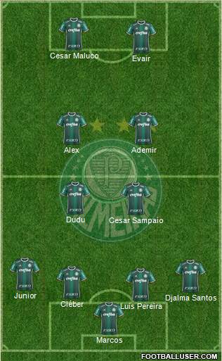 SE Palmeiras Formation 2021