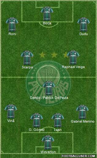 SE Palmeiras Formation 2021