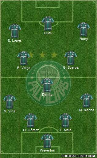 SE Palmeiras Formation 2021