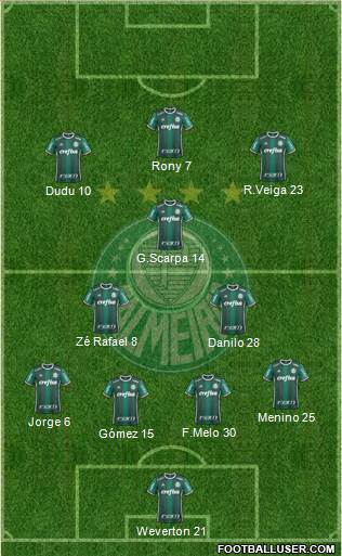 SE Palmeiras Formation 2021
