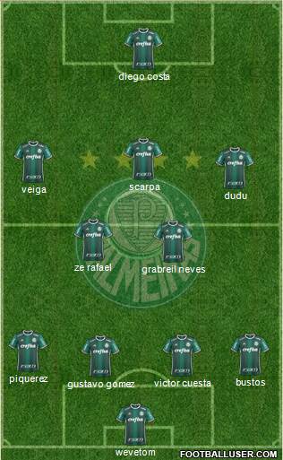 SE Palmeiras Formation 2021
