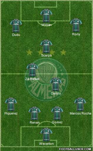 SE Palmeiras Formation 2021