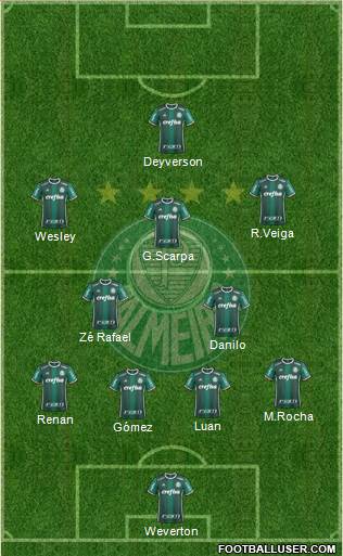 SE Palmeiras Formation 2021