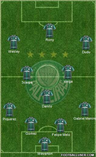 SE Palmeiras Formation 2021